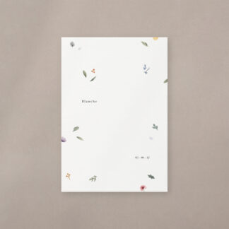 Blanche - Hiver